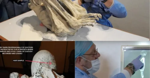 ARCHAEOLOGICAL SHOCKER: An 1,800-Year-Old Three-Fingered Mummy Is 98.5% Human — But the Remaining 1.5% Has Researchers Stunned
