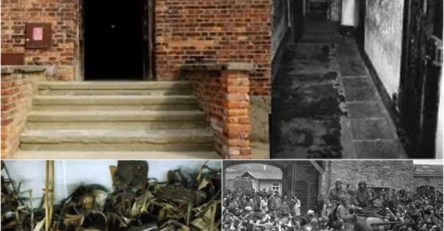 How SS Soldiers Tortured Prisoners In Block 11 Of The Auschwitz Camp: The Haunting Testimony Of A Survivor Of This 