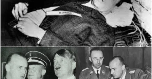 October 16, 1946, 10:14 AM: The gallows at Nuremberg Prison witnessed ONE man’s smile before the rope snapped – at age 46, Hans Frank CHOSE to say “sorry” with a grin 7