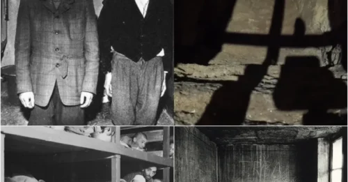 How SS Soldiers Executed Prisoners Using 