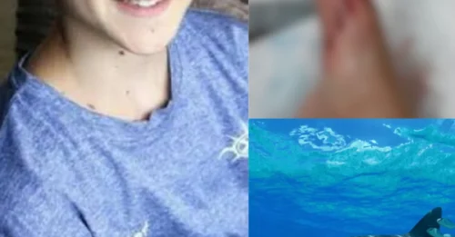 SHARK ATTACK HORROR: 12-Year-Old Boy Climbs Out of Bahamas Waters — Then Notices Something Terribly Wrong