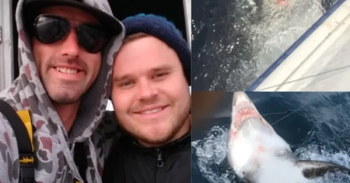 SHOCKING NORTH SEA ENCOUNTER! Anglers Battle a 9-Foot Great White Relative for 40 Minutes Before Making a Stunning Decision