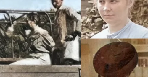 BEHIND THE FACE OF AN ANGEL HID A MONSTER: How STUTTHOF'S “BEAUTIFUL GHOST” Watched Her Reign of Terror Collapse Before a Shocked Crowd  7