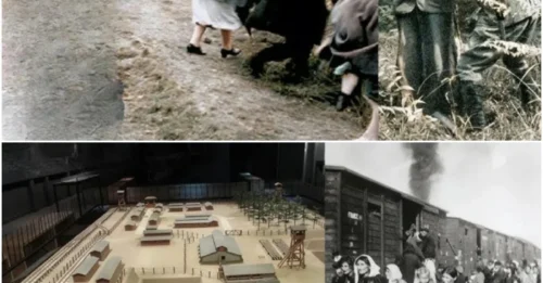 INSIDE LAZARET – How SS Butchers Executed Prisoners in One of the Most TERRIFYING and INHUMAN Atrocities of the Holocaust HM