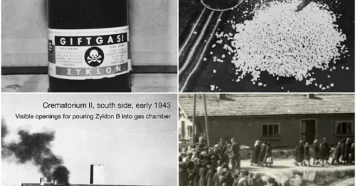 The Chilling Mechanics of Nazi Gas Chambers: How Zyklon B Turned 