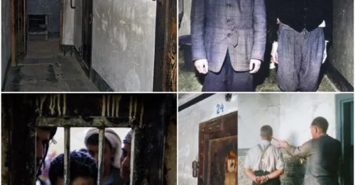 How SS Soldiers BRUTALLY EXECUTED Prisoners using “STANDING CELLS” (Stehbunker): Entombed Alive in VERTICAL COFFINS – One of the Most MONSTROUS and Soul-Shattering CRIMES in the Holocaust. 7