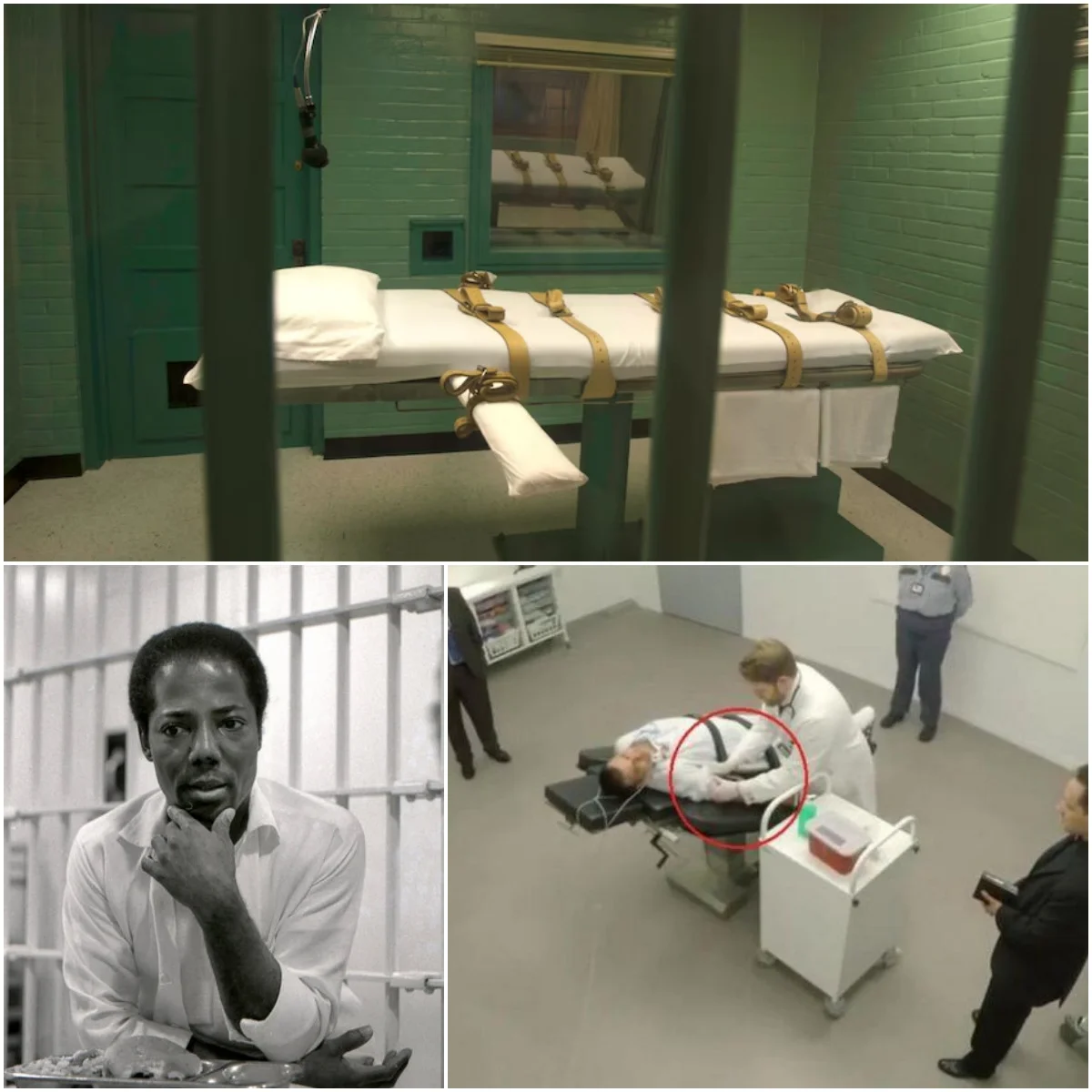 THE HISTORIC FIRST USE OF LETHAL INJECTION: The Story Of Charles Brooks ...