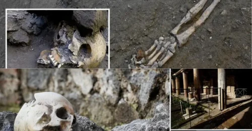 HORROR BENEATH POMPEII! Six Refugees Crushed by Vesuvius Were Later Desecrated by Treasure Hunters—Archaeologists Reveal Chilling Evidence