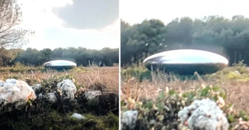 UFO ABDUCTION MYSTERY? Farmer Wakes to a Blinding Beam Over His Field — Hours Later, 3 Healthy Cows Vanish Without a Trace as Strange Burn Circles Appear