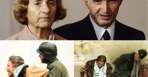 THE WORLD COULDN’T LOOK AWAY: Romania’s Infamous Female Dictator Appeared LIVE ON TV for the Last Time — Elena Ceausescu’s DEFIANT Final Words Still Shock Historians 7