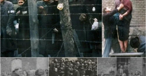 The FIRST Execution Of A Woman After The War In Hungary: The CHILLING Last Words Of Maria Nagy – Publicly Hanged On A Pillar In Front Of Thousands,