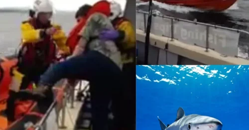HORROR 13 MILES OFFSHORE: Angler LEFT SERIOUSLY INJURED After Blue Shark Attack Turns Fishing Trip Into Chaos