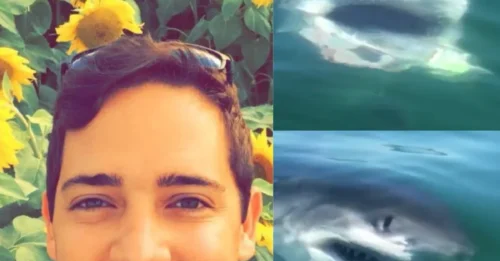SHOCKING SHARK ATTACK FOOTAGE! Fisherman Films Great White Moments After Deadly Student Killings Nearby