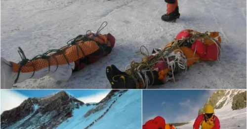 11 Bodies in 10 Days: Why Everest's 2026 Season Became the Deadliest in Recent History