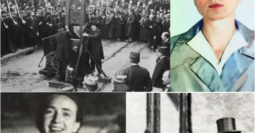 THE EXECUTION OF THE RED ROSE MOTHER BY NAZI GERMANY: The Chilling Final Moments Of Hilde Coppi – The 34-Year-Old Mother And Her Message To The Soviet Union