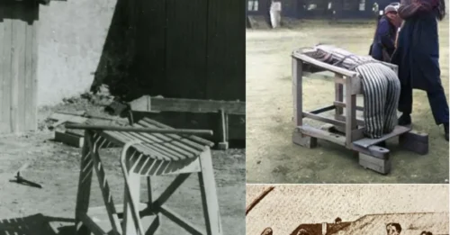 SHOCKING WWII REVEALED: The INFAMOUS “GOAT OF AUSCHWITZ” That Became a SYMBOL of EXTREME HUMAN DEGRADATION in the NAZI CAMP SYSTEM 7