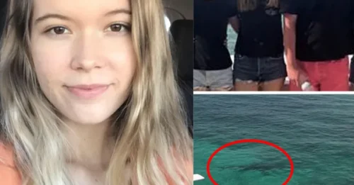 A FAMILY'S WORST NIGHTMARE! Brave Mom Tried to Save Daughter After 3 Tiger Sharks Struck Within Seconds During Bahamas Snorkeling Trip