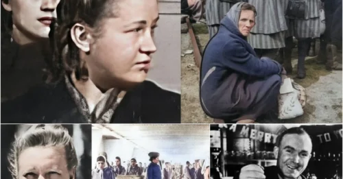 THE EXECUTION OF THE FEMALE DEVIL of Ravensbrück camp: The Horrific FINAL Moment Of 27-Year-Old Dorothea Binz - The Most Brutal Female Guard At The Hands Of Albert Pierrepoint