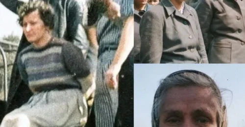 A FITTING END FOR HISTORY'S 11 MOST INFAMOUS NAZI GUARDS: The CHILLING Final Moments of the Stutthof SS Guards – The Iron Heels That Once Made Countless Innocent Victims TREMBLE 7