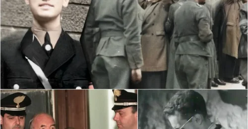 THE HORRIFIC CRIMES OF The 