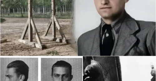 THE HORRIFIC EXECUTION Of The Theresienstadt Camp Commander: The Final Begging Moments Of Siegfried Seidl Before The Noose At Age 35 - AN UNFORGIVABLE HISTORICAL CRIME