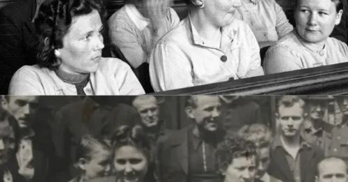 The UNTOLD Story of Why the YOUNGEST FEMALE GUARD of Stutthof Was PUBLICLY HANGED: Elisabeth Becker's 4-Month CAMPAIGN OF TERROR Against Countless Women — And Her FINAL PLEA for Mercy Before 200,000 Witnesses 7
