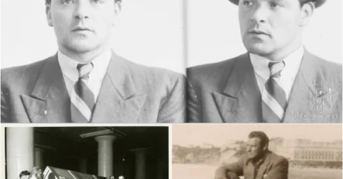 The Most Infamous Nazi In Dutch History: The HORRIFIC Crimes Of Dries Riphagen – And How He Escaped Justice In A Coffin