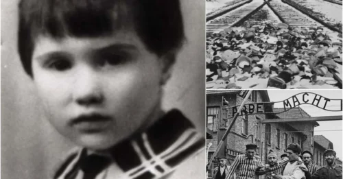 THE MOST HAUNTING PHOTO FROM AUSCHWITZ: The Tragic Death Of Jacqueline Rajter – The 8-Year-Old Girl Resilient As A Flower With A Timeless Stare In The Final Moments Of Her Life