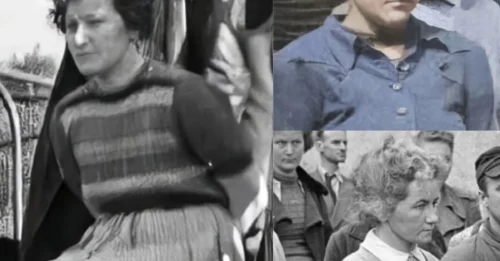 30,000 PEOPLE GATHERED TO WITNESS HER FINAL FATE: Ewa Paradies – The INFAMOUS Stutthof Guard Whose REIGN OF TERROR Ended at the End of a Hangman's Rope 7