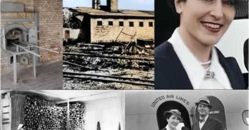 The Horrific Execution Of The Beautiful Baroness: The Grasping, Chilling Final Fate Of Elisabeth De Rothschild At Ravensbrück Camp