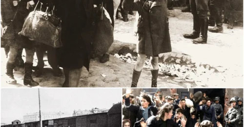 THE HAUNTING SURRENDER THAT DEFINED INNOCENCE LOST: The Poignant Tale of the Warsaw Ghetto Boy – A Symbol of Jewish Children and the Shoah HM