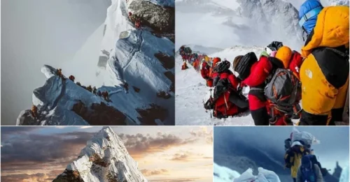 500 Permits, 18 Dead, 70-Year Record: The 2023 Everest Season That Exposed the Dark Side of 