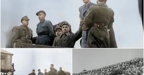 The SHOCKING Public Execution Of The 5 Sadistic “Gas Chamber Devils”: Enraged Crowd Of 20,000 Watched The Final Terrified Moments Of These Brutal Majdanek SS Guards HM