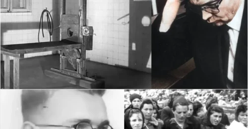 The Execution Of Auschwitz's 