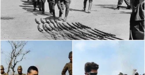 The HORRIFIC Japanese Sword Executions That Shocked The World: One Of The Most Brutal And Darkest Crimes Of World War II HM
