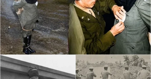 THE DARK REASON Firing Squad Victims Have A White Target On Their Chest: The Unwritten Rule Of Execution Is Not As Simple As You Think