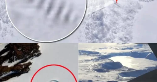 ANTARCTICA'S DARKEST SECRET? Google Earth Uncovers a Giant 