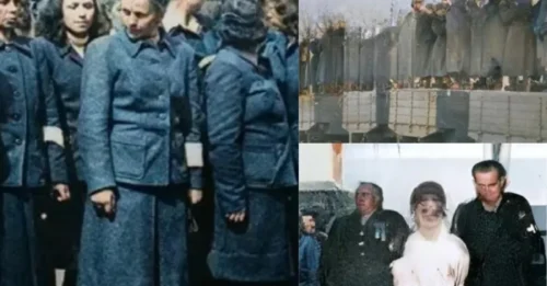 THE SILENCE THAT SHOOK THE “WITCHES OF BELSEN”: Irma Grese's FINAL, CHILLING Moments Before Albert Pierrepoint Brought Her Story to Its End 7