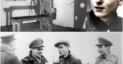 The Chilling Execution of the Boy Captain: Willi Herold, 21, the Impostor Executioner of Emsland Who Ruthlessly Ordered Mass Killings in the Chaos of 1945 HM