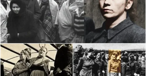 The TERRIFYING Execution Of The Blonde Butcher Of Belsen: Elisabeth Volkenrath, 24, The Ruthless SS Overseer Who Brutally Enforced Nazi Terror Until Her Final Defiant Moments HM