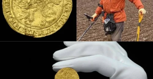 The Ground Hid This Treasure for 675 Years: An English Metal Detectorist Uncovered a Legendary Leopard Gold Coin Now Expected to Fetch $187,000!