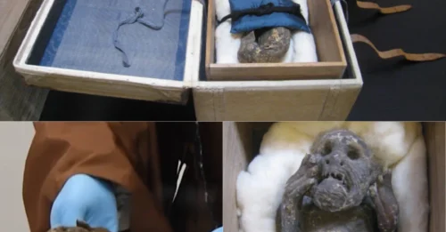 ARCHAEOLOGICAL SHOCK: Japan Finally Opens the 300-Year-Old 