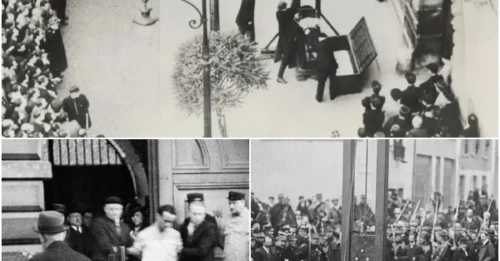 The BRUTAL Secret Of Thousands Guillotined Face Down – What The Executioners Understood That History Tried To Hide HM