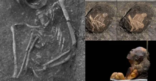ARCHAEOLOGISTS STUNNED! An 8,000-Year-Old Secret Hidden In Forgotten Photos Could Rewrite The Entire Timeline Of Mummification