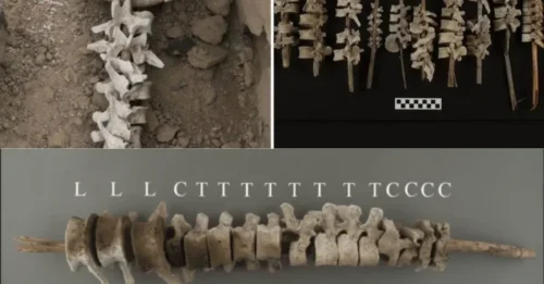 ANCIENT PERU'S MOST CHILLING DISCOVERY: A 16th-Century Grave Holding Nearly 200 Human Spines Threaded Onto Sticks Could Rewrite The Story Of Spanish Conquest