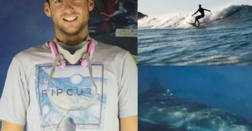 SHOCKING TRAGEDY! 26-Year-Old Surfer Fatally Mauled by Shark in California — Heartbreaking Tributes Pour In as Beach Is Locked Down