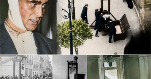 Inside a Guillotine Execution: 1/50th of a Second and the Grim Mechanism Behind the Most Brutal Execution Method in History