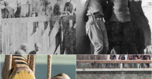 Inside The Dark History Of The 