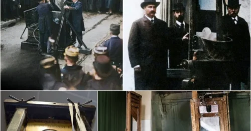 The Dark Reason Behind Germany's Angled Fallbeil Blade: Inside The Physics Of The 7kg Death – The 