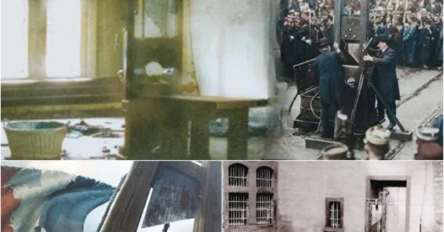 The Horrific Reason Why Germany's Guillotine Outperformed France's: How Fallbeil Engineering Surpassed The French Guillotine's Famous 